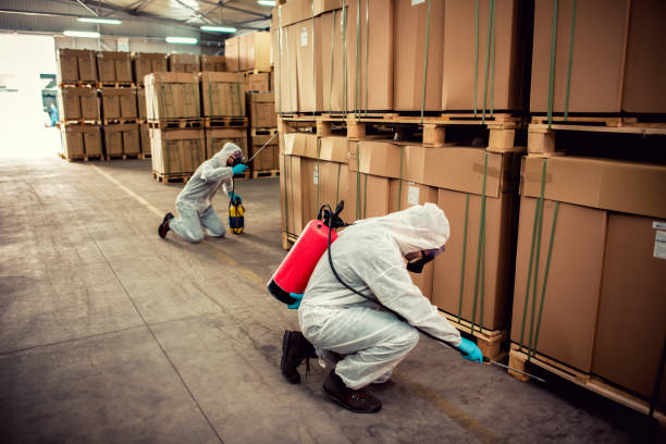 Best Cockroach Control Services  in Dogtown, CA