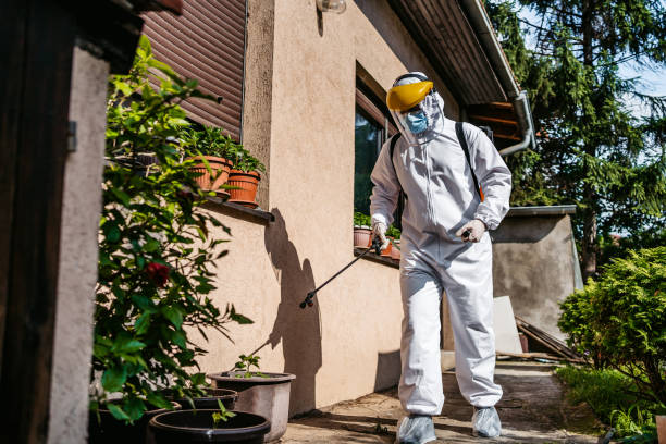 Best Mosquito Control Services  in Dogtown, CA