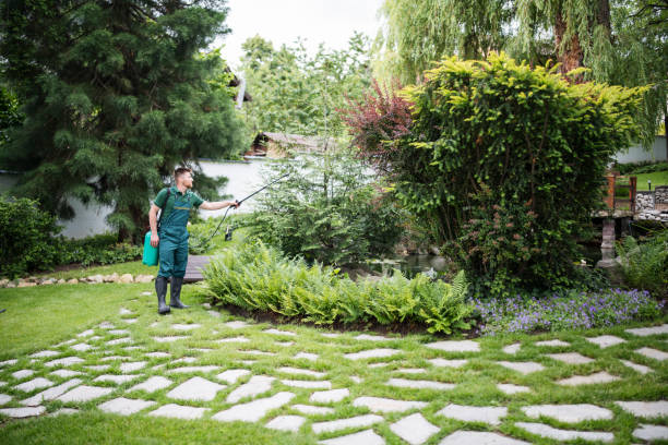 Best Best Pest Control Companies  in Dogtown, CA