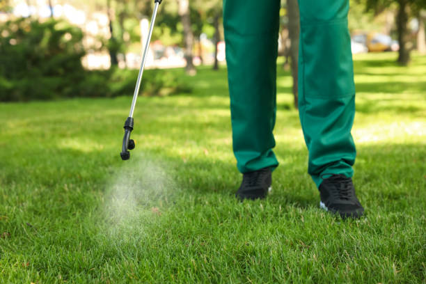 Best Commercial Pest Control Services  in Dogtown, CA