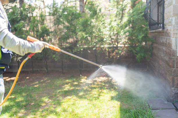 Best Flea Control Services  in Dogtown, CA