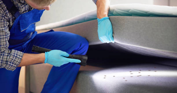Best Pest Prevention Services  in Dogtown, CA