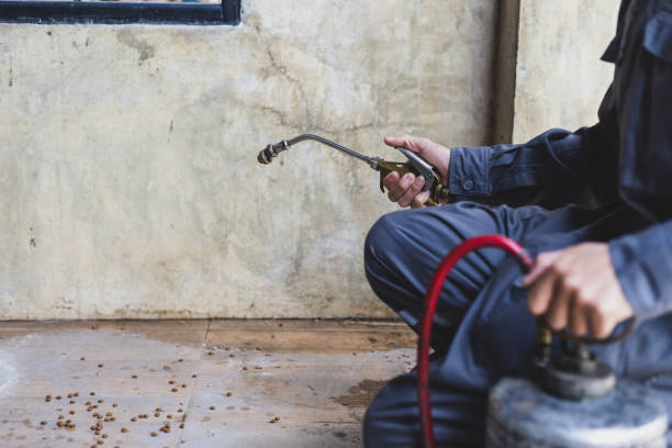 Best Residential Pest Control  in Dogtown, CA